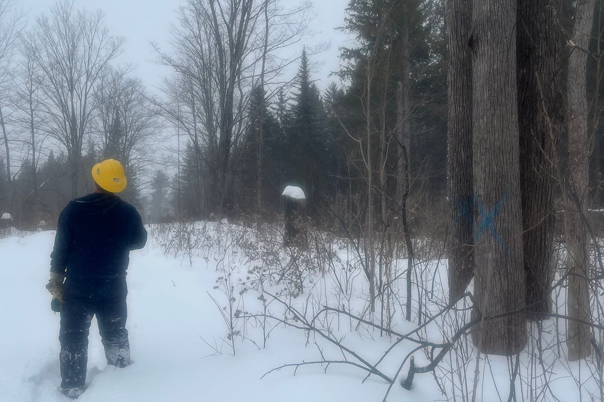 2025 Berlin Williams Pole Location