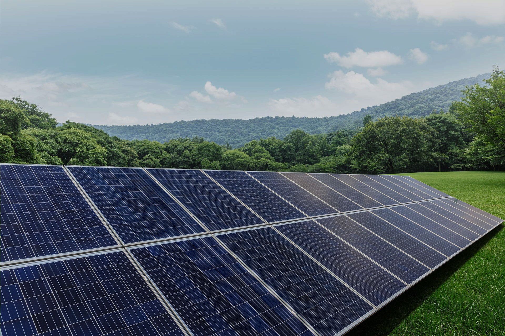 solar-array-in-field